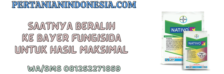 jual,murah,terjangkau,toko pertanian terdekat,pertanian indonesia